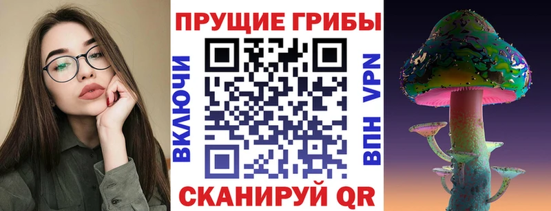 Псилоцибиновые грибы Psilocybe Пионерский